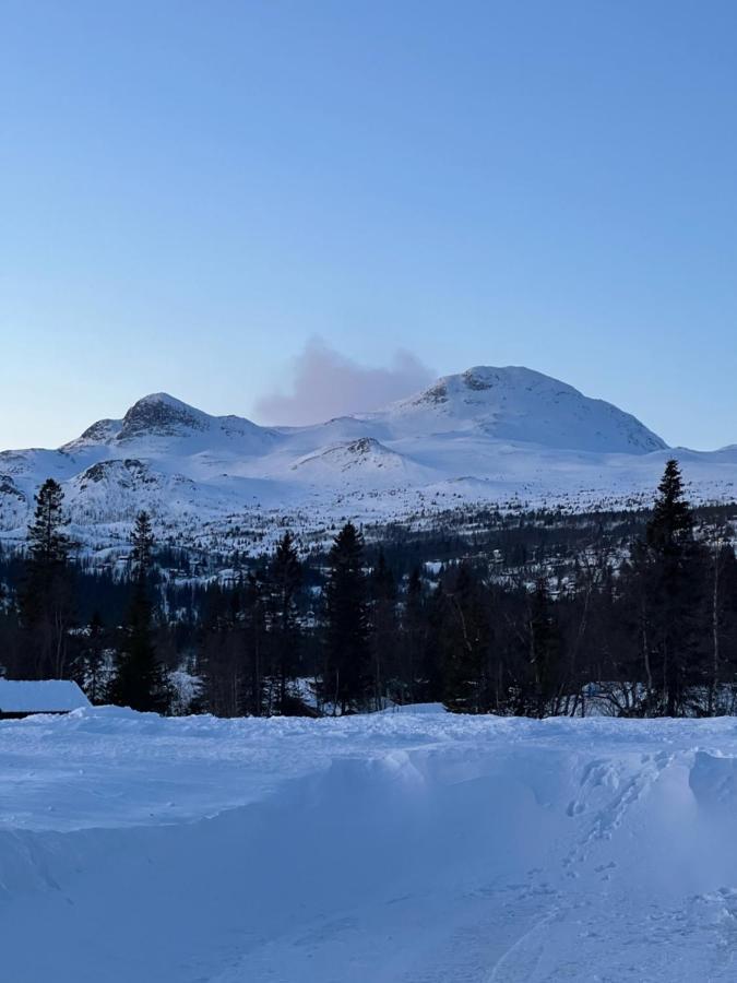 Brand New Cabin On The Sunny Side Of Gaustatoppen With A Great View Tuddal Экстерьер фото